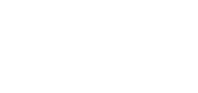 Robinson & Sons Enterprises logo h light